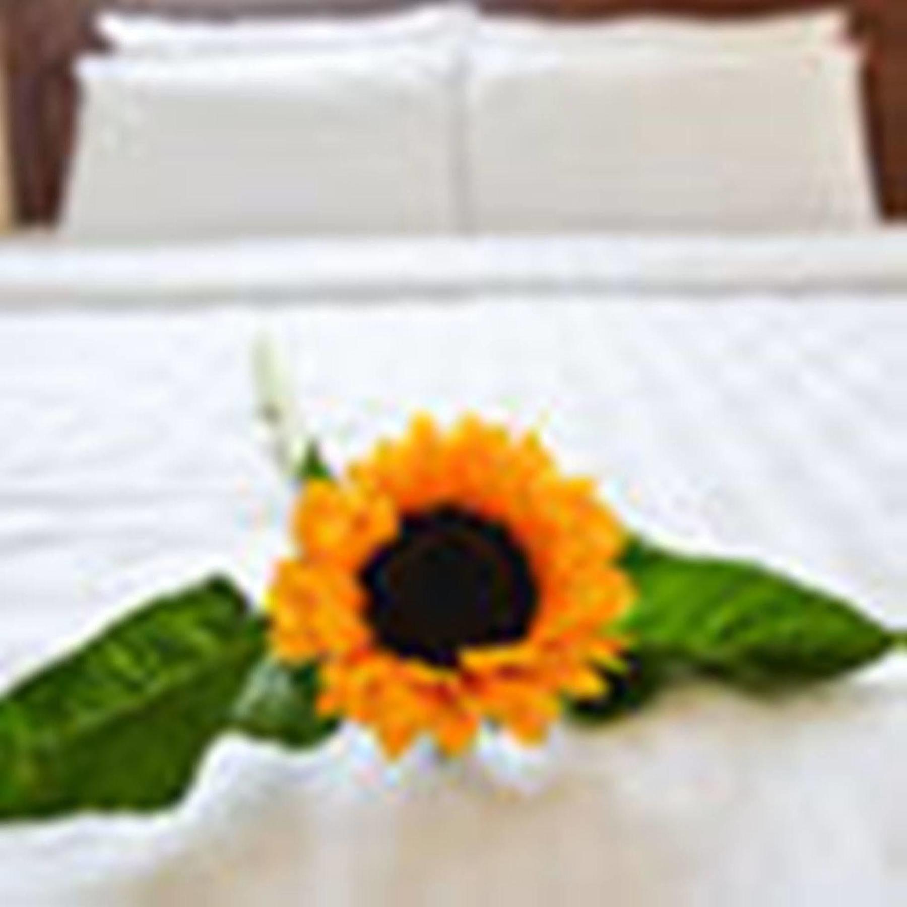 Fulmar Hotel Da Nang Eksteriør billede
